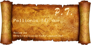 Pellionis Tódor névjegykártya